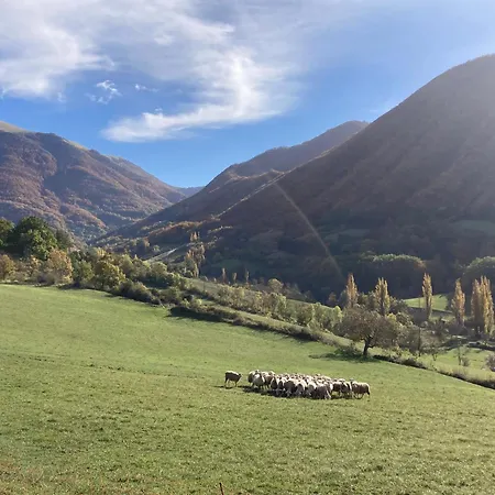 In Drome Provencale